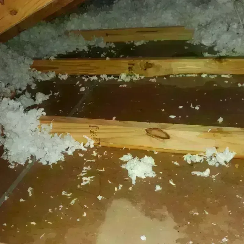 Attic Water Damage in Sharon, WI