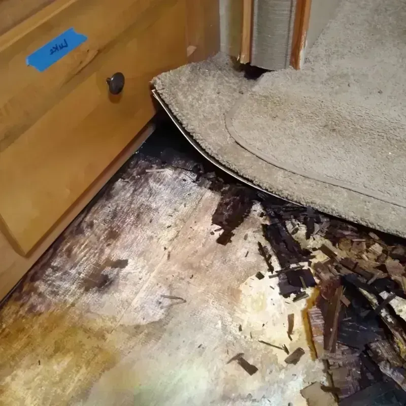 Wood Floor Water Damage in Sharon, WI